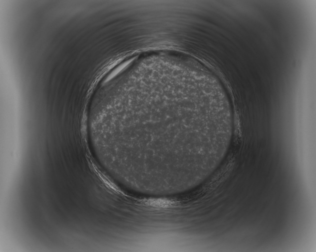 X0000103320389200810060959
