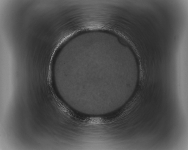 X0000103320391200810060959