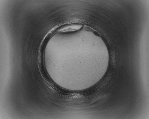 X0000103320392200810060959