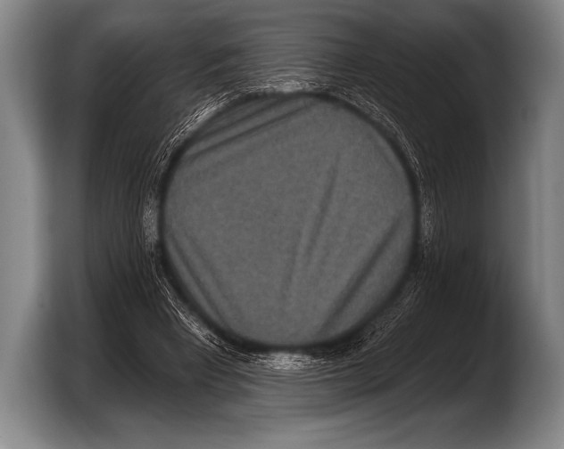 X0000103320393200810060959