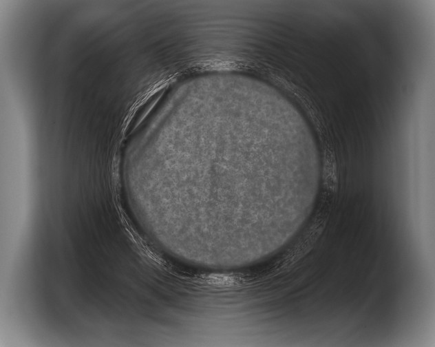 X0000103320394200810060959
