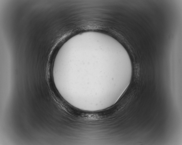 X0000103320395200810060959