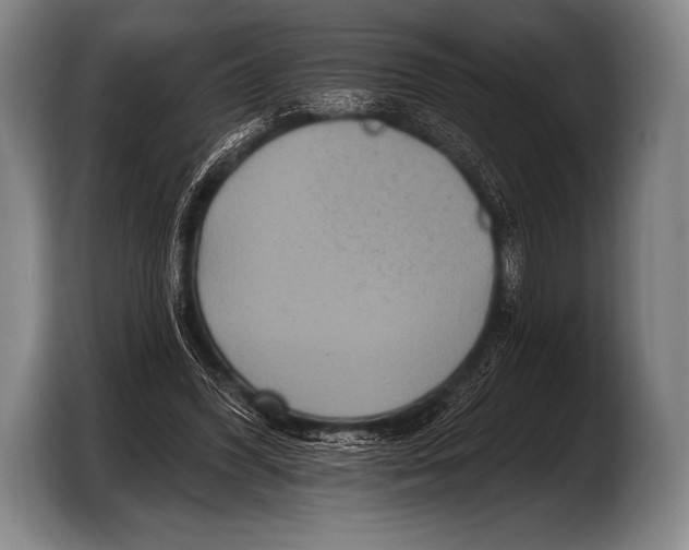 X0000103320396200810060959
