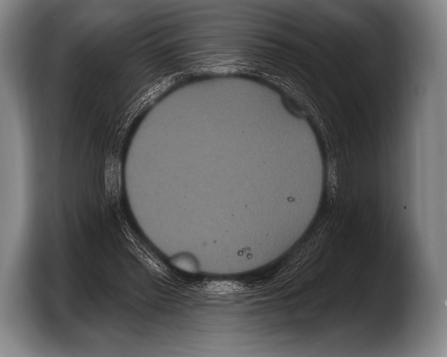 X0000103320397200810060959