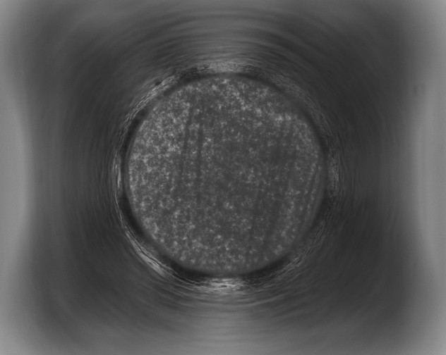 X0000103320398200810060959