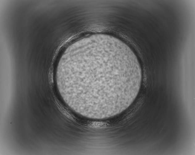 X0000103320399200810060959