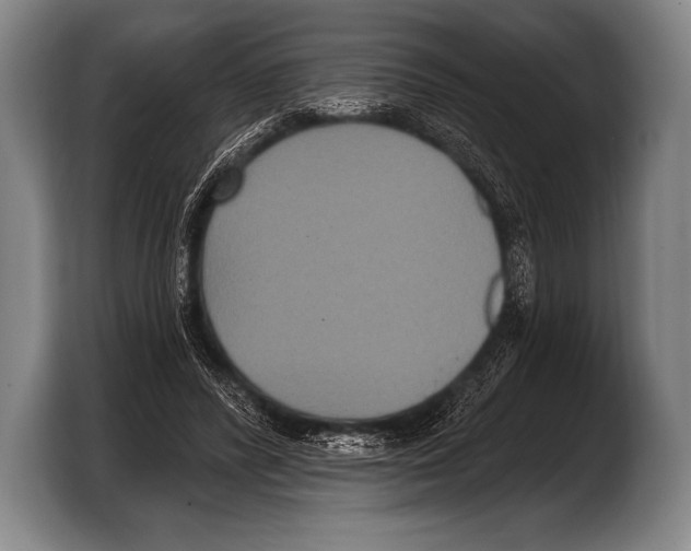 X0000103320400200810060959