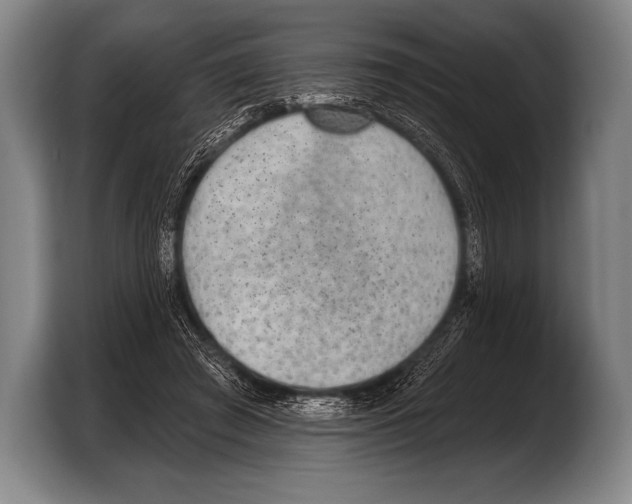 X0000103320401200810060959