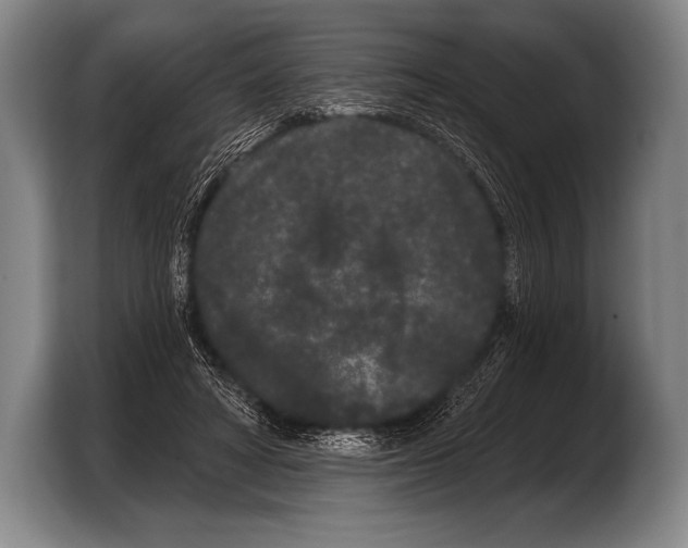 X0000103320402200810060959