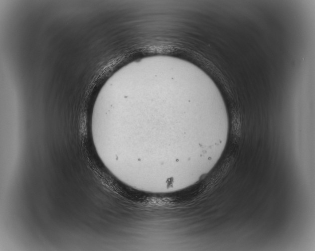 X0000103320403200810060959