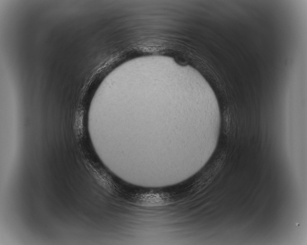 X0000103320404200810060959