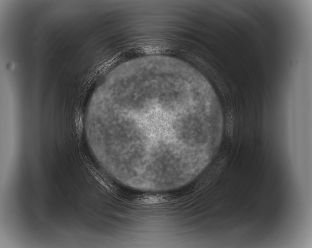 X0000103320405200810060959