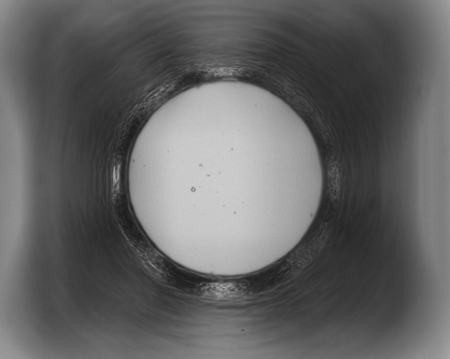 X0000103320406200810060959