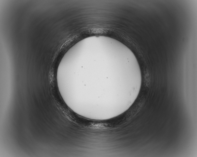 X0000103320407200810060959