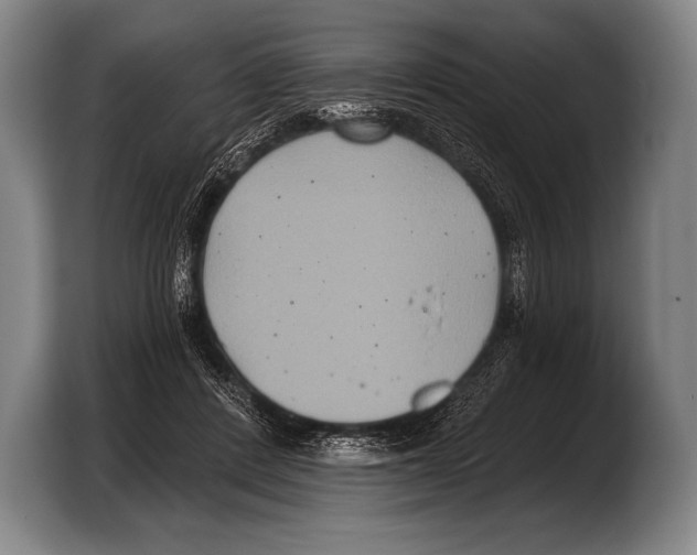 X0000103320408200810060959