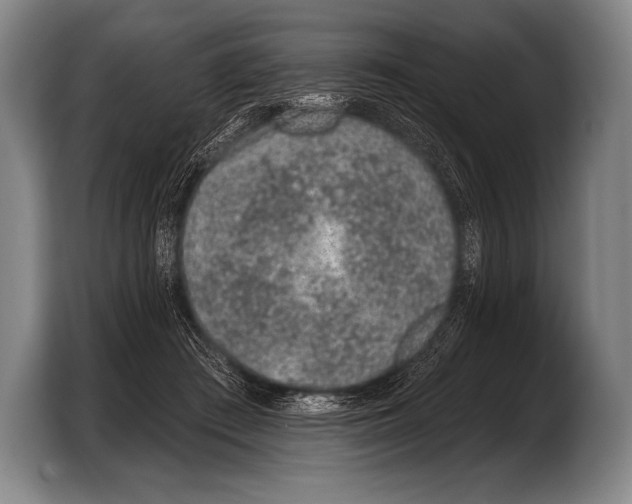 X0000103320409200810060959