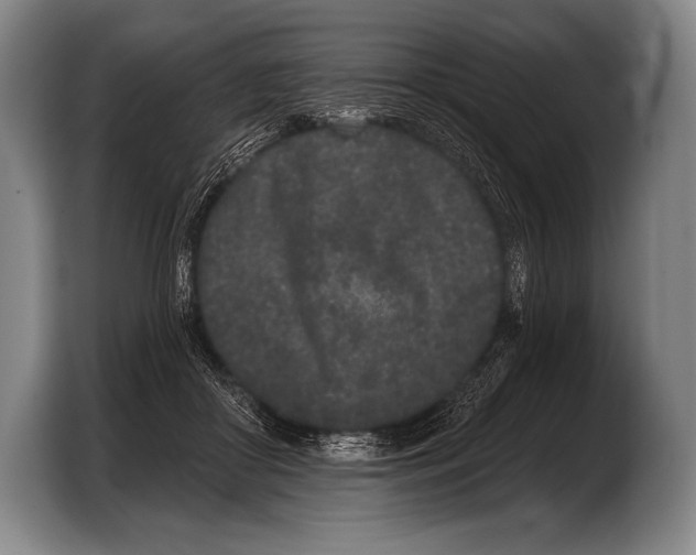 X0000103320410200810060958