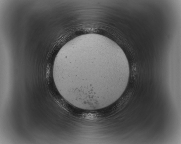 X0000103320412200810060958