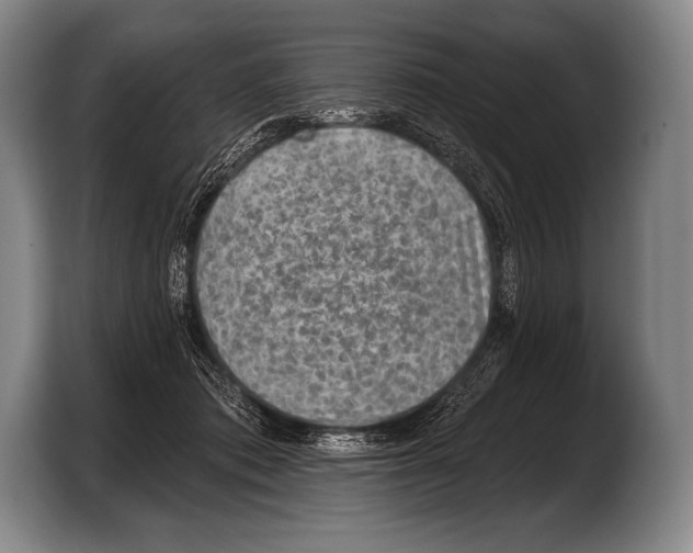 X0000103320413200810060958