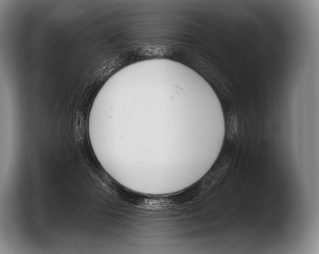 X0000103320414200810060958