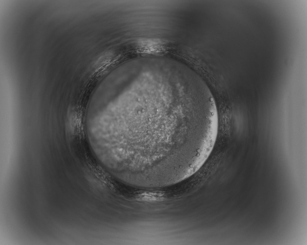 X0000103320415200810060958