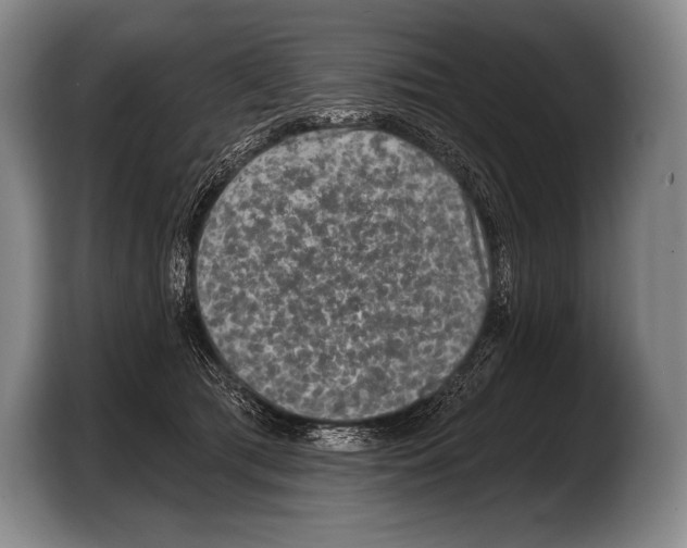 X0000103320417200810060958