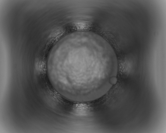 X0000103320419200810060958