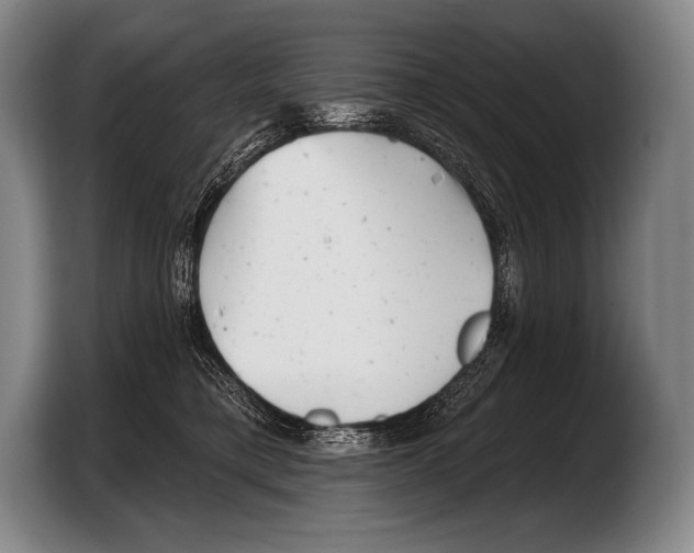X0000103320421200810060958