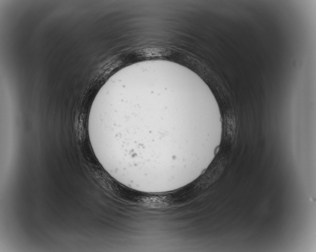 X0000103320422200810060958