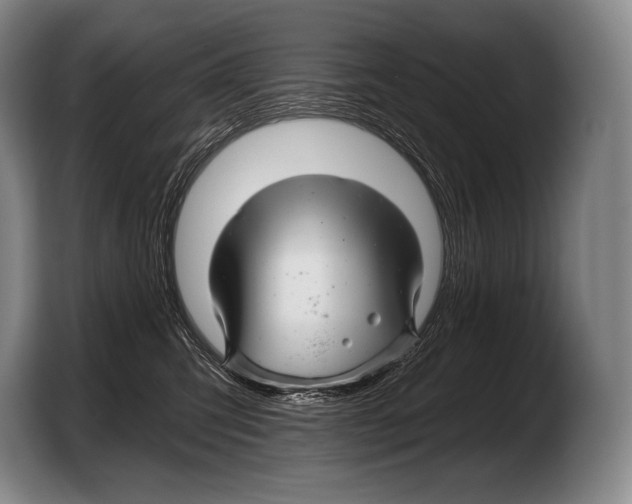 X0000103320423200810060958