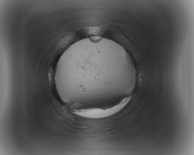 X0000103320424200810060958