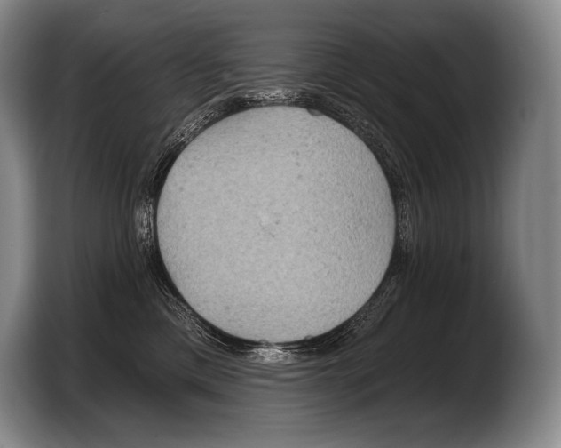 X0000103320425200810060958