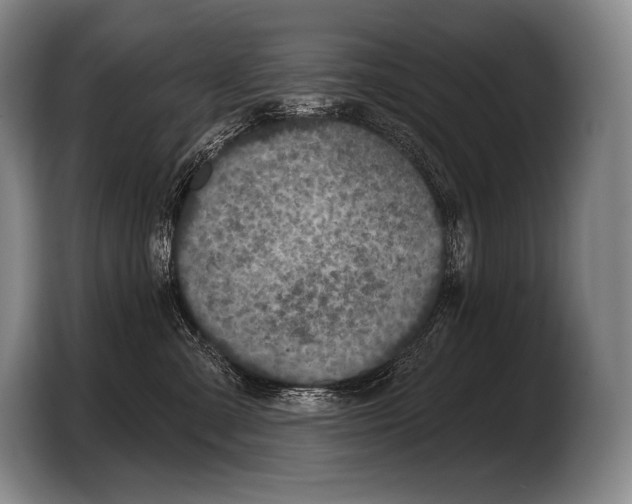 X0000103320427200810060958