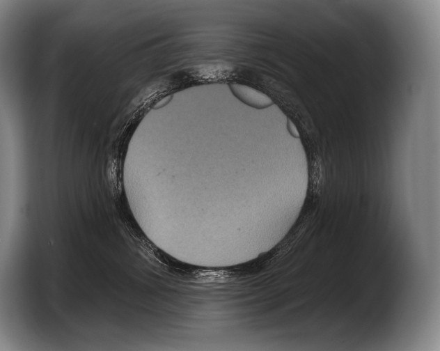 X0000103320428200810060958