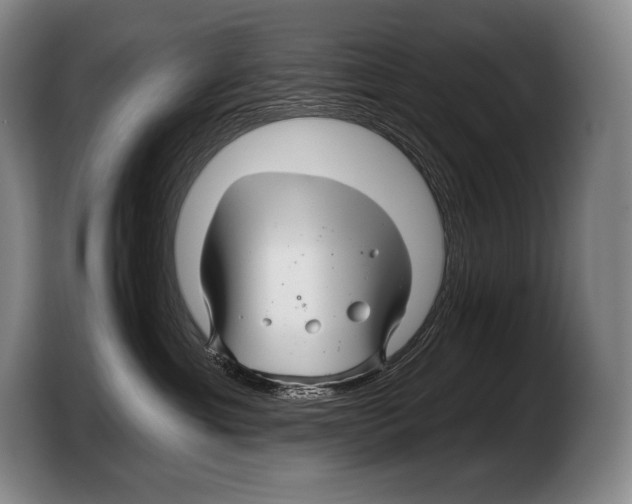 X0000103320429200810060958