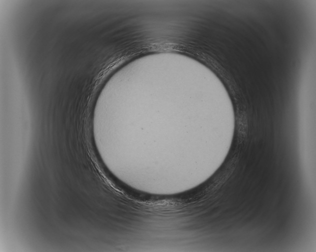 X0000103320433200810060958