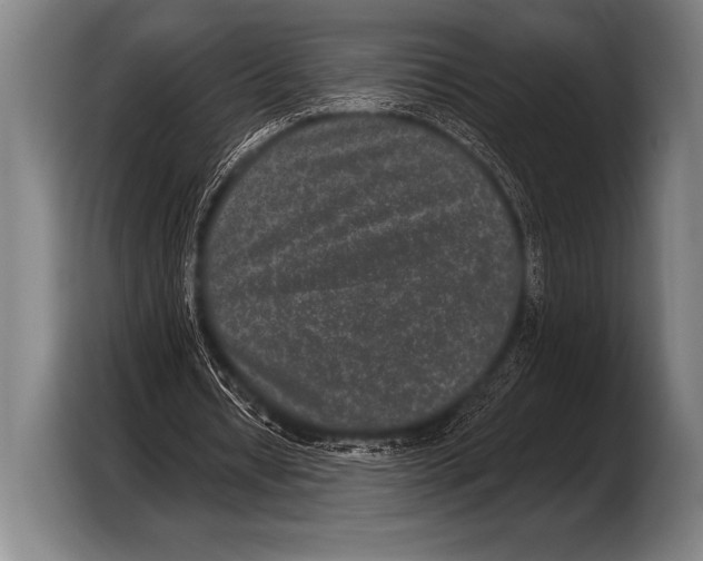 X0000103320434200810060958