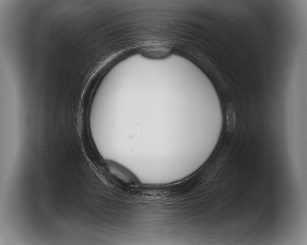 X0000103320436200810060958
