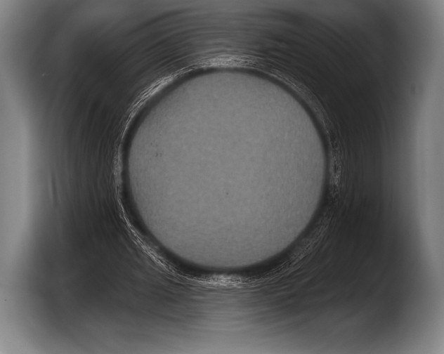 X0000103320437200810060958