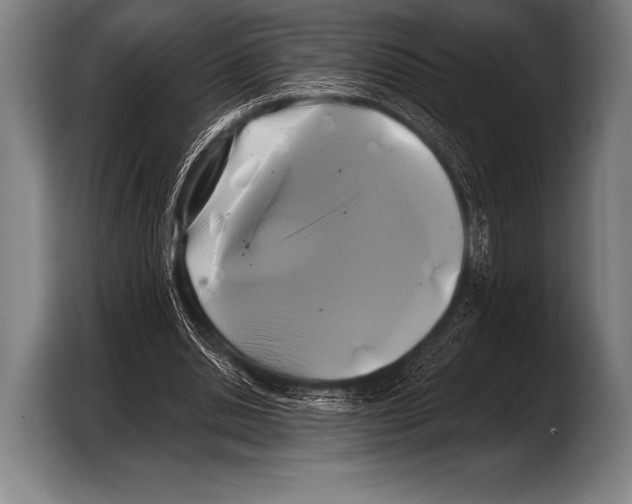 X0000103320438200810060958
