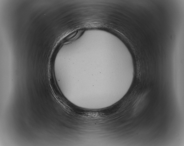 X0000103320439200810060958
