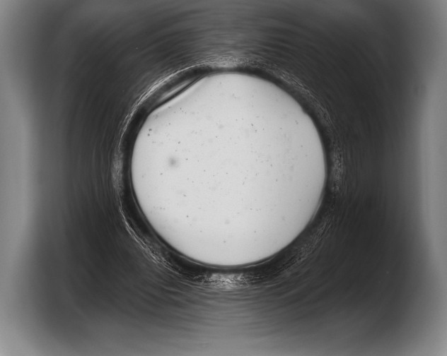 X0000103320440200810060958