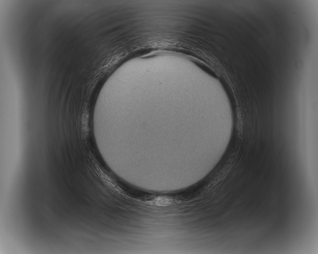 X0000103320441200810060958