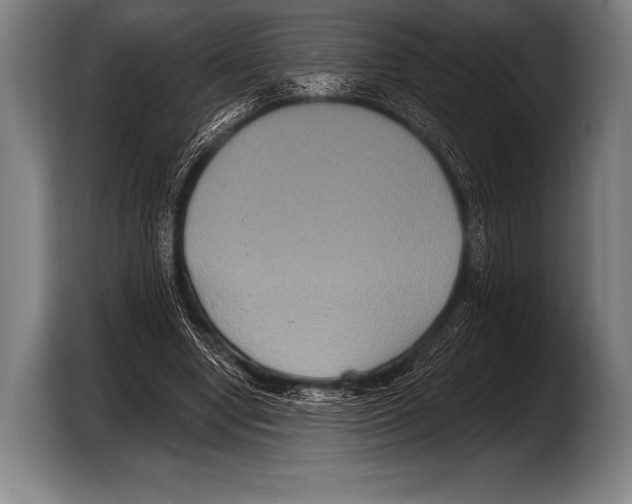 X0000103320442200810060958