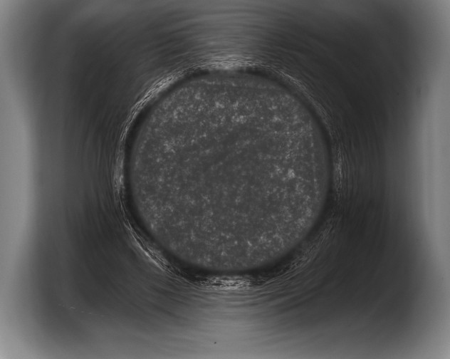 X0000103320443200810060958