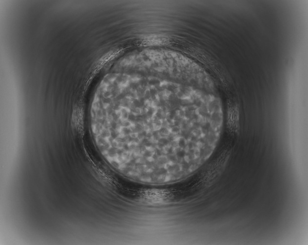 X0000103320444200810060958