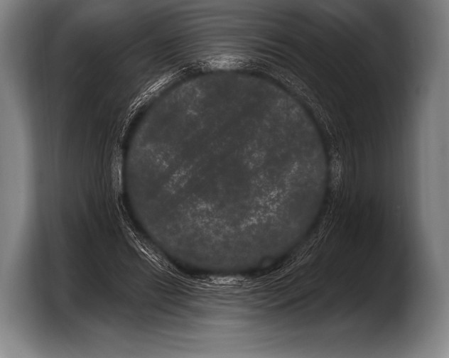 X0000103320446200810060958