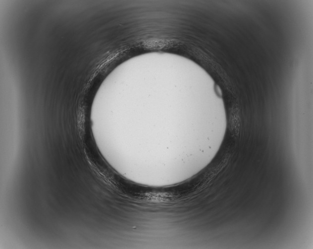 X0000103320448200810060958