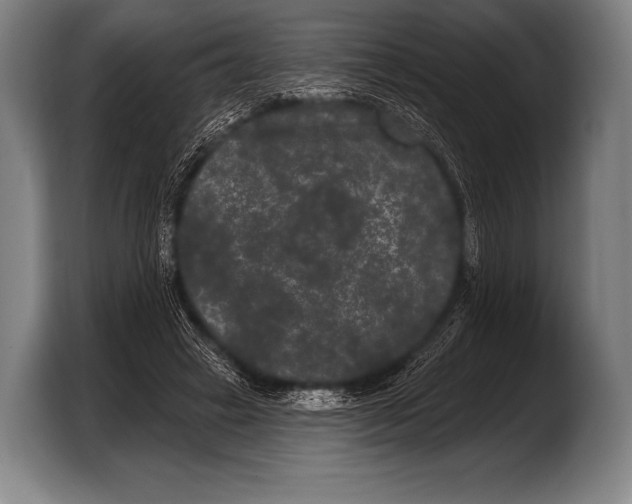 X0000103320449200810060958