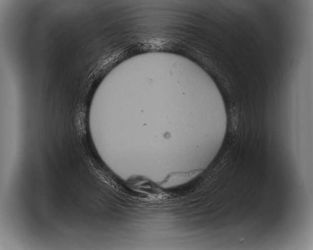 X0000103320450200810060958